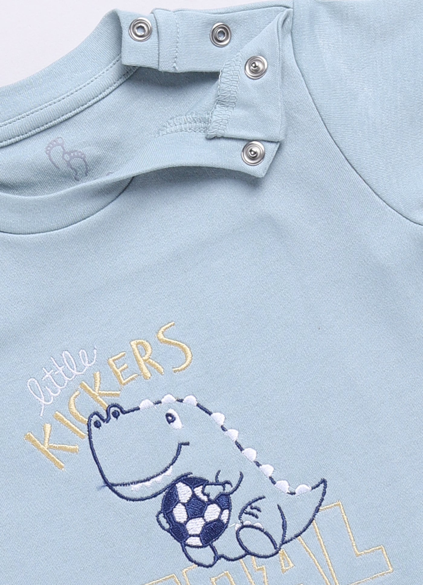 Baby Boy Dinosaur Printed Half T shirt & Short Set-Pista