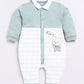 Baby Boy Dino Half T Shit & Shorts-Green