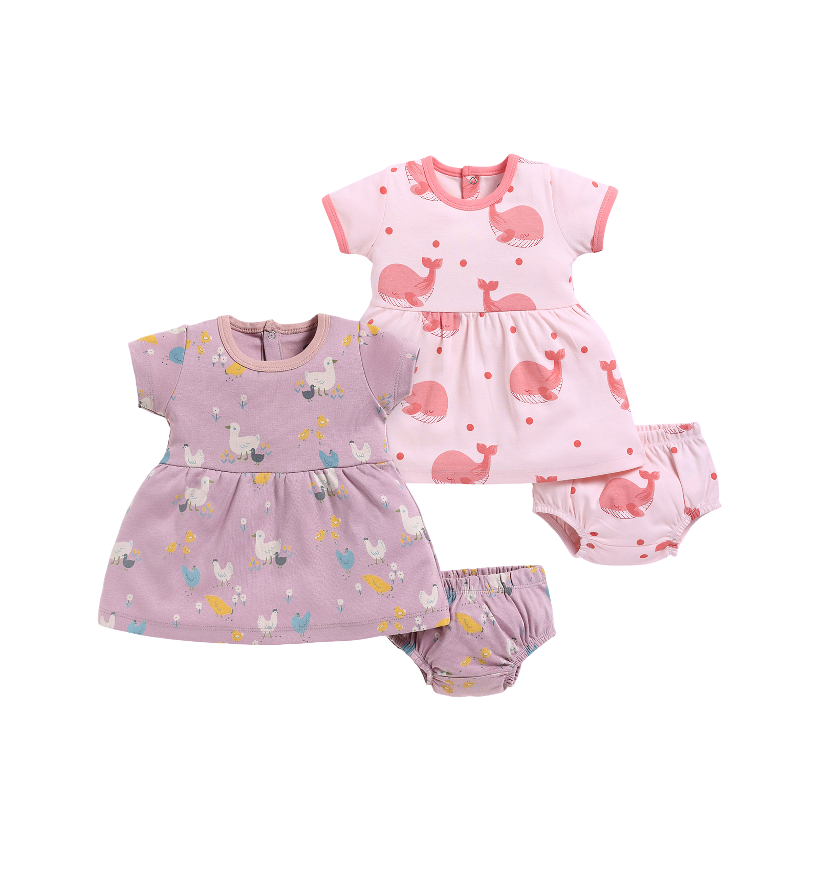Frock – Salmon & Stone