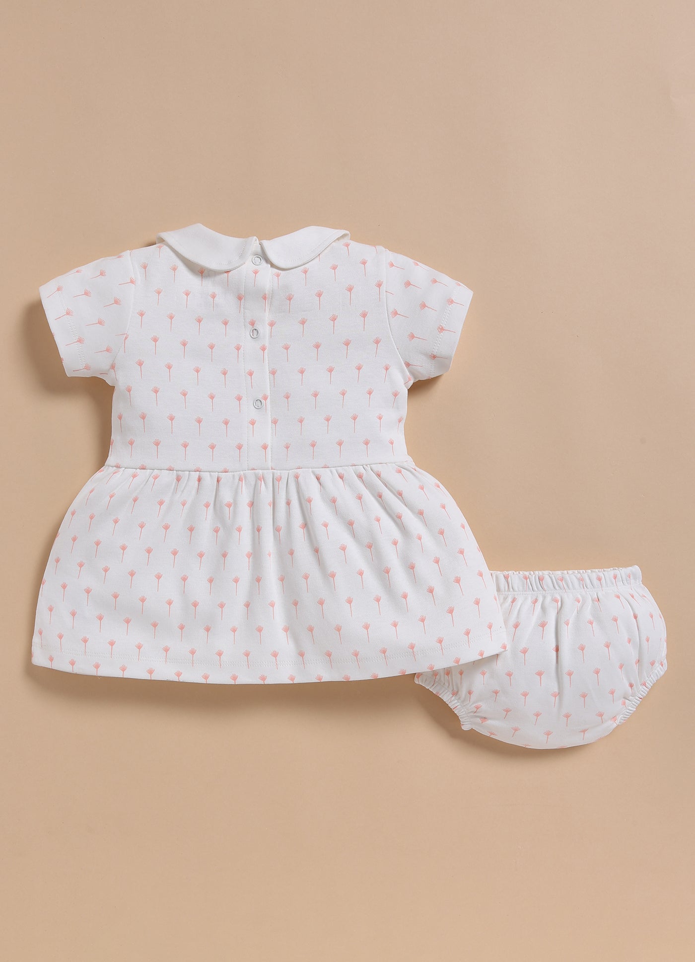 Frock – White Orchid