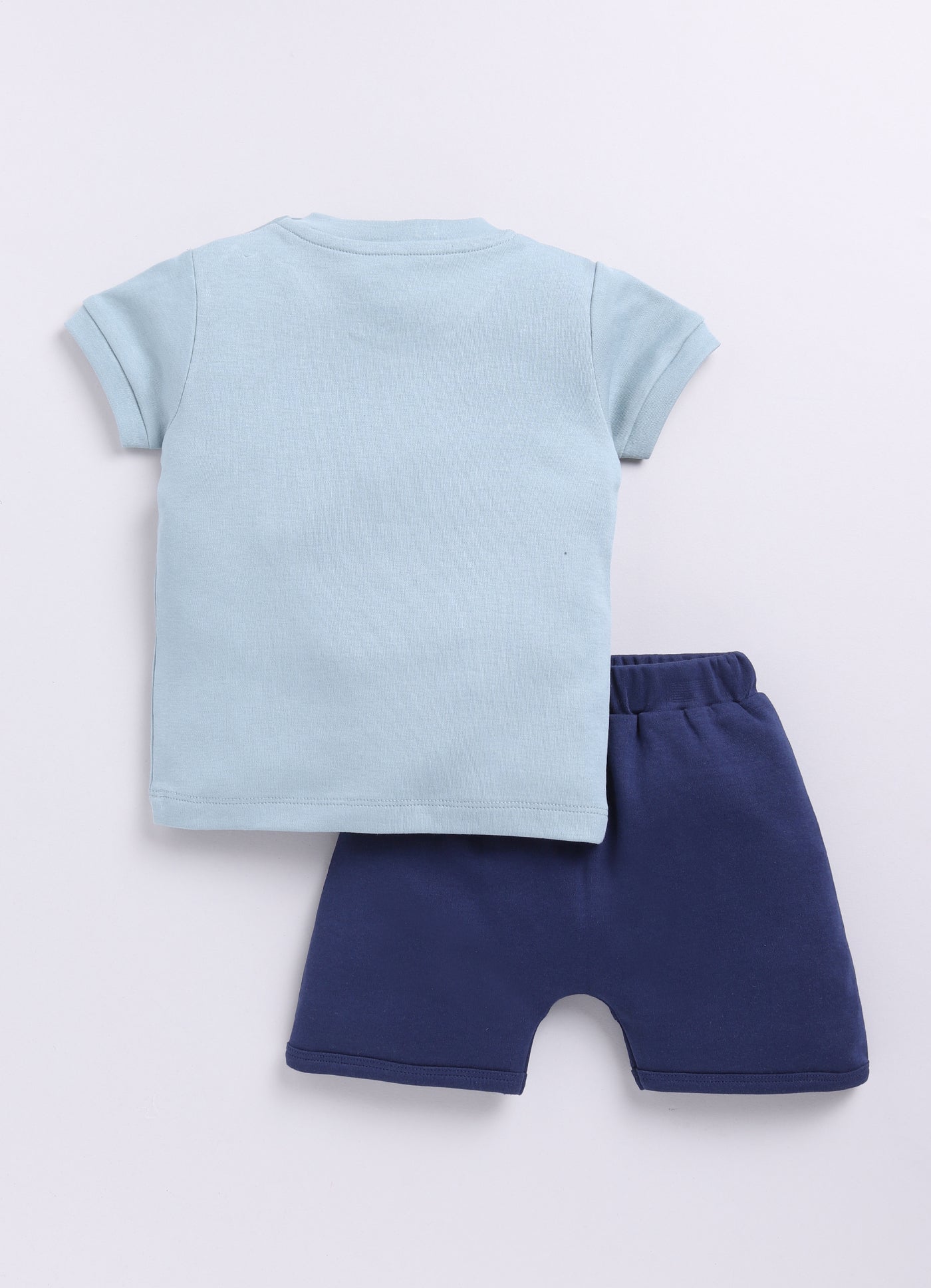 Baby Boy Dinosaur Printed Half T shirt & Short Set-Pista