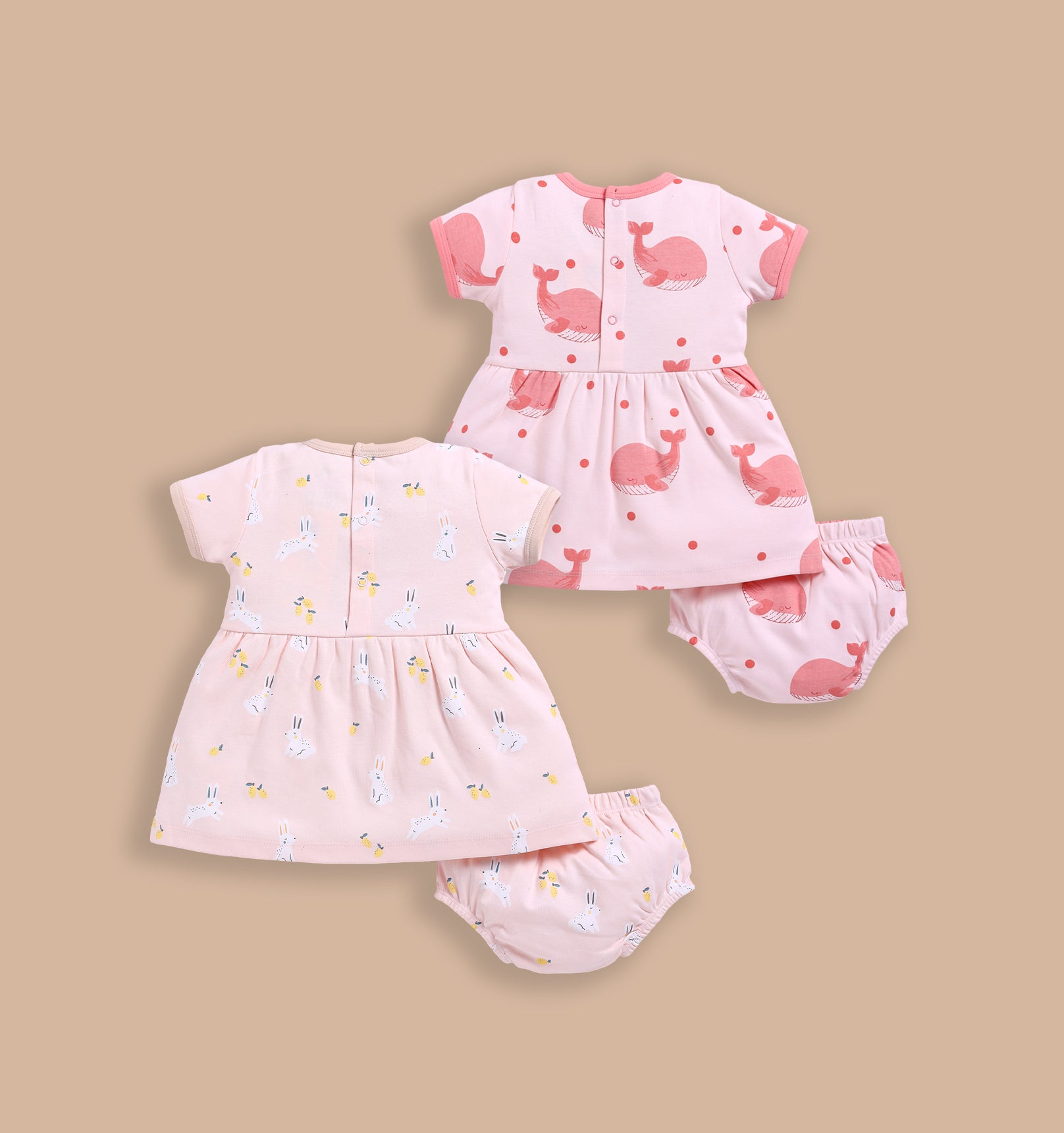 Frock – Salmon & Rose