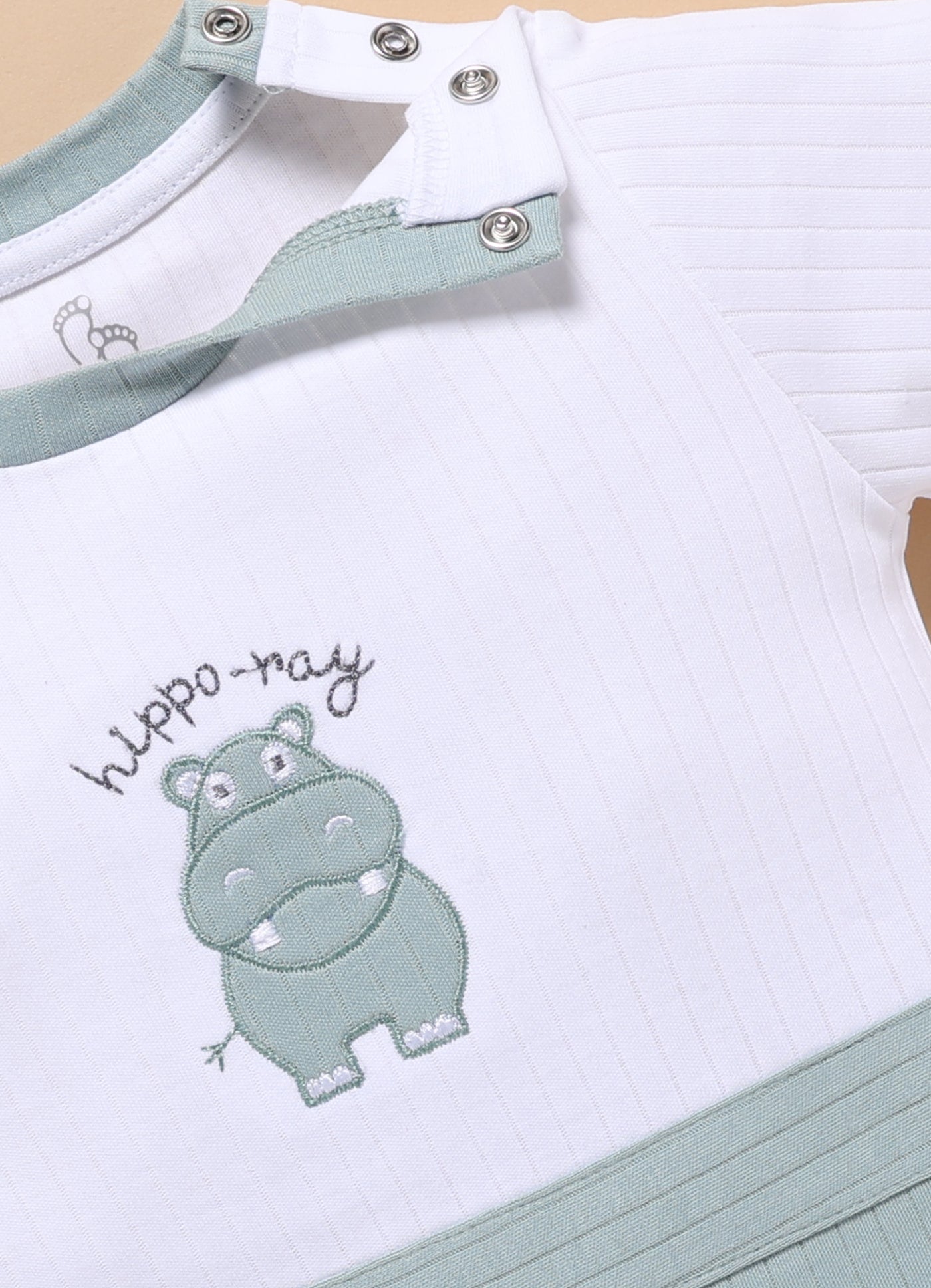 Full Sleeve Romper for Boys - Bluish Cyan Hippo Ray