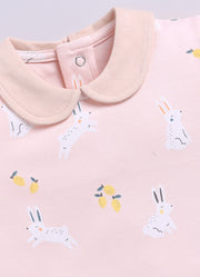 Half-Sleeve Top & Bottom For Girls - Teal & Rose