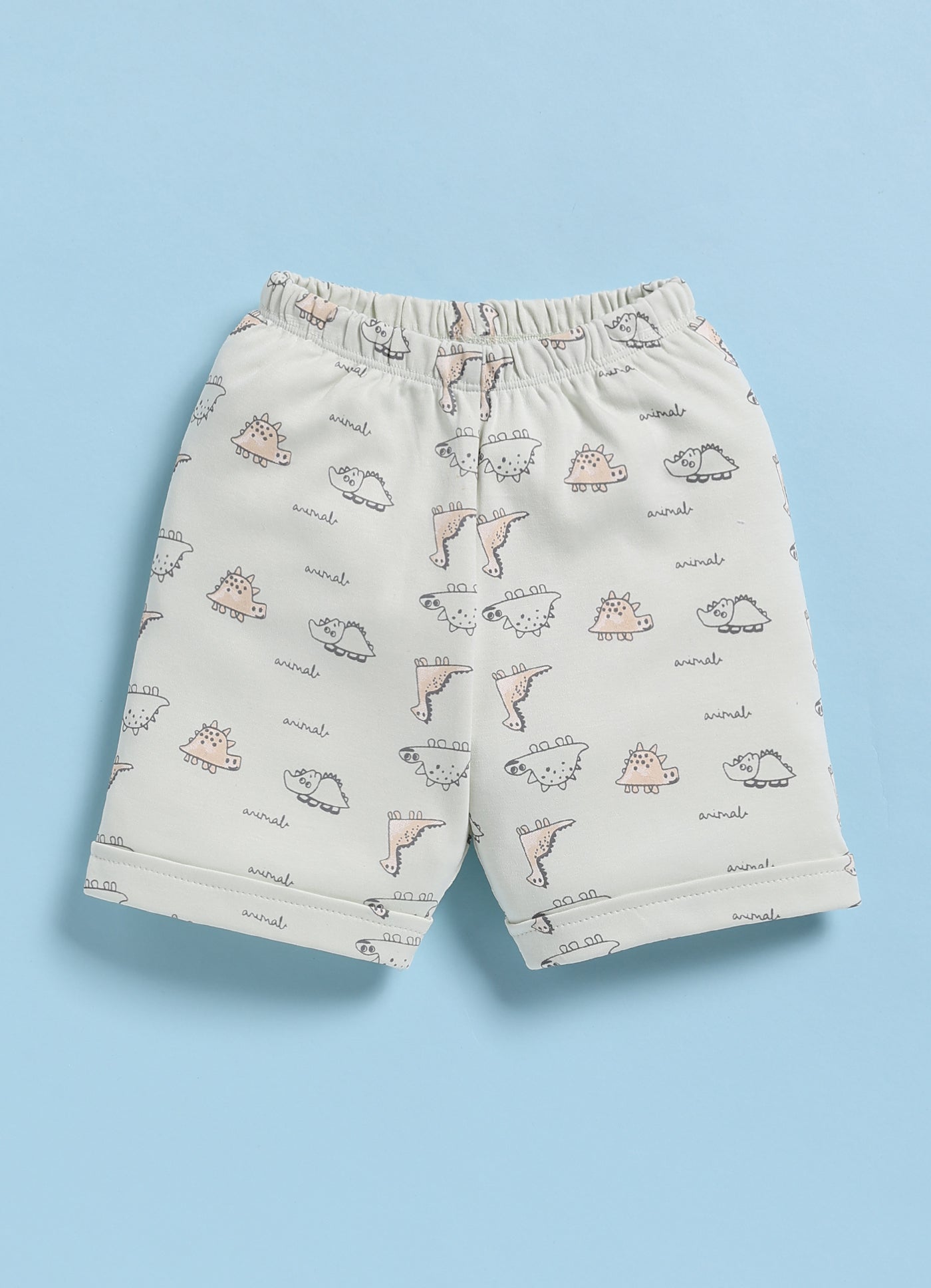 Half-Sleeve Top & Bottom For Boys - Mint Green Big Friend
