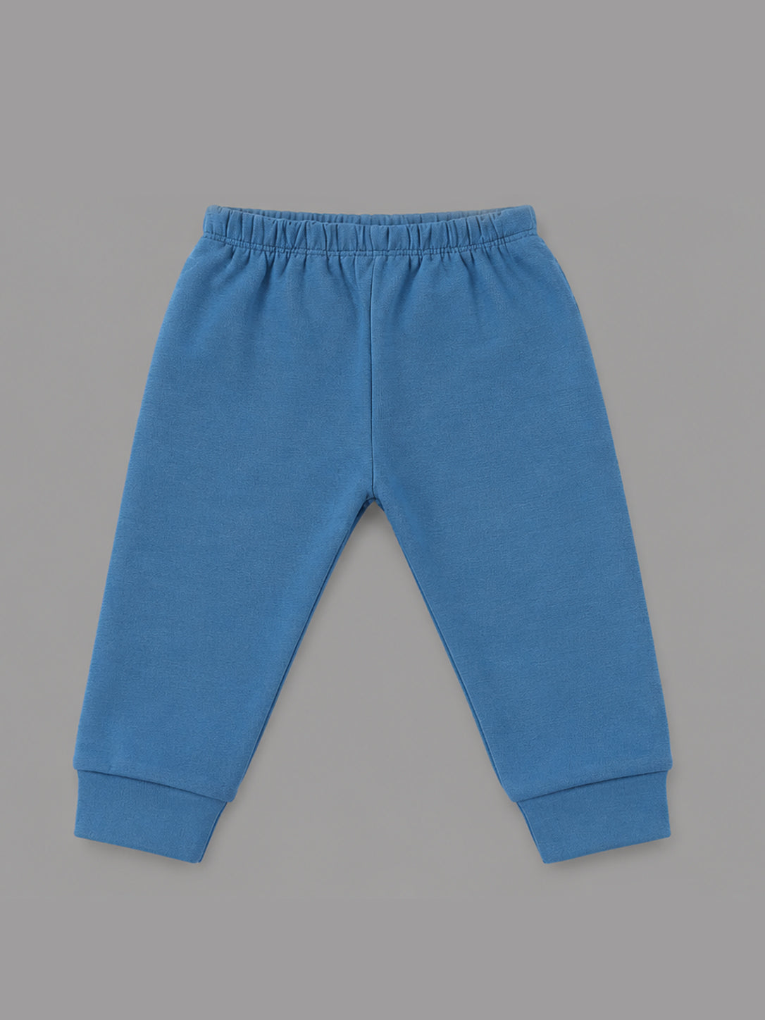 Happy Family Bear Embroidered Collared Full Sleeve Top and Bottom for Boys - Sage & Blue