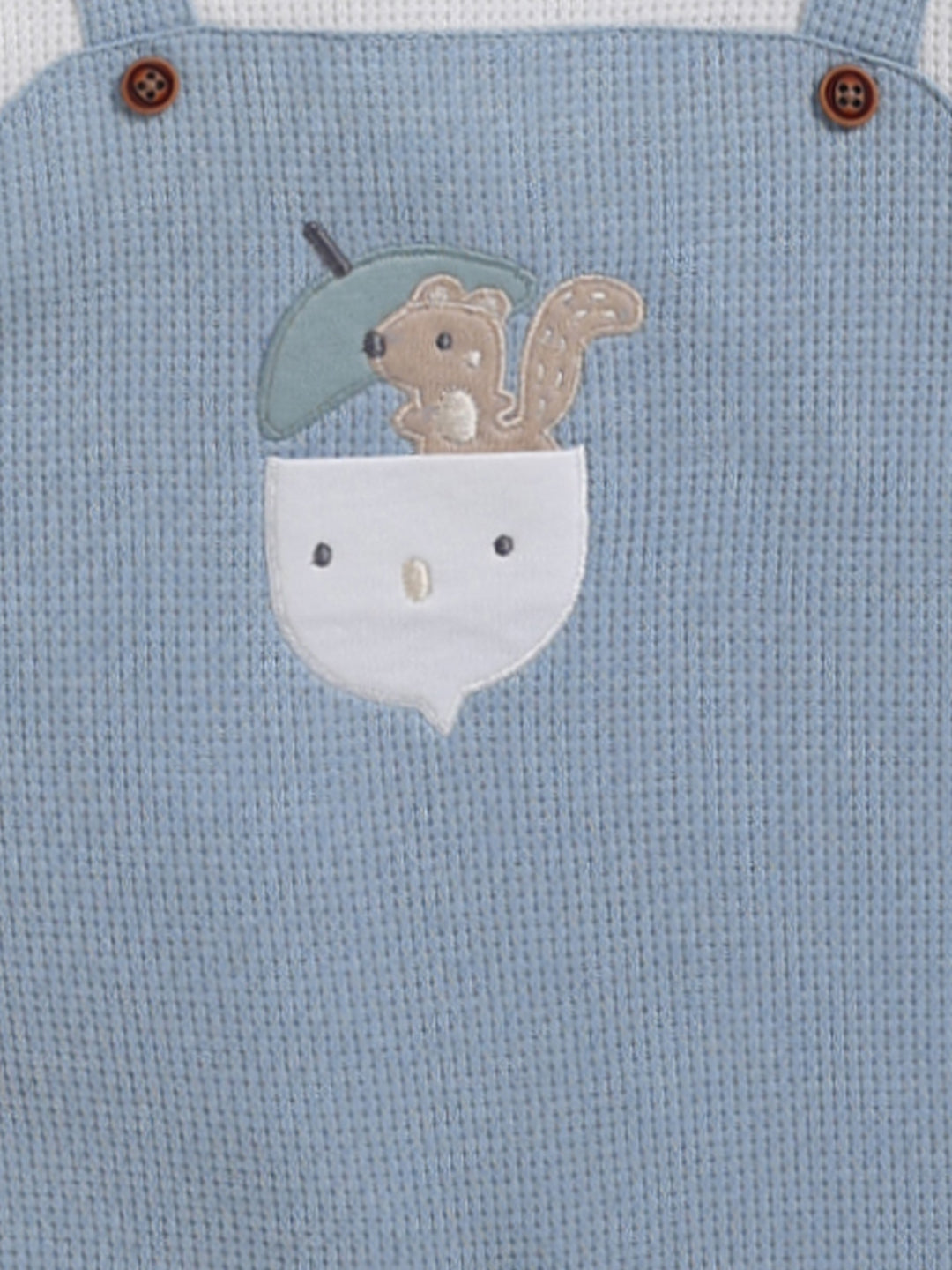 Full Sleeve Romper for Boys – Baby Blue Waffle-Knit Squirrel